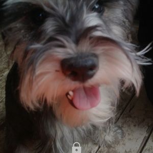 Meet your Posher, Austin